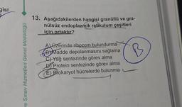 gisi
ve Sınav Hizmetleri Genel Müdürlüğü
13. Aşağıdakilerden hangisi granüllü ve gra-
nülsüz endoplazmik retikulum çeşitleri
için ortaktır?
A) Üzerinde ribozom bulundurma
BMadde depolanmasını sağlama
C) Yağ sentezinde görev alma
DProtein sentezinde görev alma
E) Prokaryot hücrelerde bulunma
B