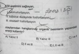 5. ATP üretimini sağlayan,
Parotosto
II. substrat düzeyinde fosforitasyon,
III. oksidatif fosforilasyon
Motofosforilasyon,
pines i sipl
olaylarından hangilerinde organik besinlerin yapısındaki
enerji kullanılır?
A) Yalnız II
D) II ve III
B) Yalnız III
yhrE) I, II ve III
C) I ve Il