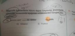 Laurkey
ayesion
A) Amino asit
7. Saprofit bakterilerin hücre dışına salgıladığı enzimlerin
etkinliči sonucunda aşağıdaki moleküllerden hangisi olu-
samaz?
B) Glikoz
D) Gliserol
LGH12O6
E) Fruktoz
11. Aşag
besk
D