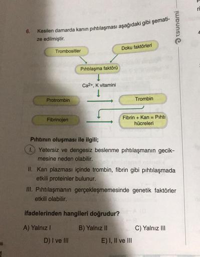 6.
Kesilen damarda kanın pıhtılaşması aşağıdaki gibi şemati-
ze edilmiştir.
Trombositler
Protrombin
Fibrinojen
Pıhtılaşma faktörü
Ca2+, K vitamini
Į
A) Yalnız I
Doku faktörleri
ifadelerinden hangileri doğrudur?
B) Yalnız II
D) I ve III
Pıhtının oluşması il