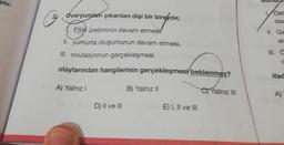 ştir-
Ovaryumlanı çıkarılan dişi bir bireyde;
FSH üretiminin devam etmesi,
II. yumurta oluşumunun devam etmesi,
III. ovulasyonun gerçekleşmesi
olaylarından hangilerinin gerçekleşmesi beklenmez?
A) Yalnız I
D) II ve III
B) Yalnız II
E) I, II ve III
Yalnız III
Ost
dar
II. Ge
al
C
ifad
A)