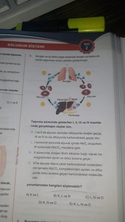 n kanda taşınma-
SOLUNUM SİSTEMİ
mnat iyonlanna ay-
-le, su ve karbon-
moglobine bağ-
arında meyda-
"11
tir.
C) I ve II
Kılcallarında
olarak,
mlarının
geller.
madan
en ay-
oluş-
Yanıt Yayınları
4
3.
Akciğer ve üç farklı organ arasında oksijen ve karbondi-
oksitin taşınması süreci şekilde gösterilmiştir.
Alyuvar
Akciğer
Karaciğer Mide
Pankreas
Taşınma sürecinde gösterilen I, II, III ve IV kısımla-
rında gerçekleşen olaylar için,
A) K ve L
TEST
2
K. I ve Il de alyuvar zarından difüzyonla oksijen geçişi,
III ve IV te ise difüzyonla karbondioksit geçişi olur.
L. I sürecinin sonunda alyuvar içinde HbO₂ oluşurken,
III sürecinde HbCO₂ meydana gelir.
D) K, N ve O
Burundan colums
Alyuvar
N. Il sürecinde oksijen Bohr etkisine bağlı olarak he-
moglobinden ayrılır ve doku sıvısına geçer.
O. IV'te alyuvar dışına çıkan karbondioksit molekülleri-
nin tamamı HbCO, kompleksinden ayrılan ve difüz-
yonla doku sıvısına geçen karbondioksit molekülle-
ridir.
yorumlarından hangileri söylenebilir?
B) K, L ve N
C) L, N ve O
E) K, L, N ve O