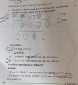 Aşağıdaki soyağacı örneklerini çözümleyelim.
Aşağıdaki soyağacında belirli bir özelliği fenotipinde
gösteren bireyler taralı olarak gösterilmiştir.
XX
96
●
haste
soghly
5
10
Bu özellik;
2
6
77
3
7
x'e bağlı çekinik,
y'ye bağlı,
12
4
8
13
9
II.
III. Otozomal kromozomlarla taşınan baskın
O Otozomal kromozomlarla taşınan çekinik
özelliklerden hangileri olabilir?
Dişi
Erkek
Cevap:
I, III ve IV olabilir. Y kromozomu ile taşınsaydı 8, 11 ve 13
nolu bireylerin de bu özelliği genotiplerinde gösterme-
leri gerekirdi.
www.sinaxxa