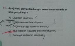 11. Aşağıdaki olaylardan hangisi soluk alma sırasında en
son gerçekleşir?
A) Diyafram kasılması
B) Oksijenin alveollere ulaşması
C) Göğüs boşluğu hacminin artması,
D) Alveollerden kılcallara oksijenin difüzyonu
E) Kaburga kaslarının kasılması
J