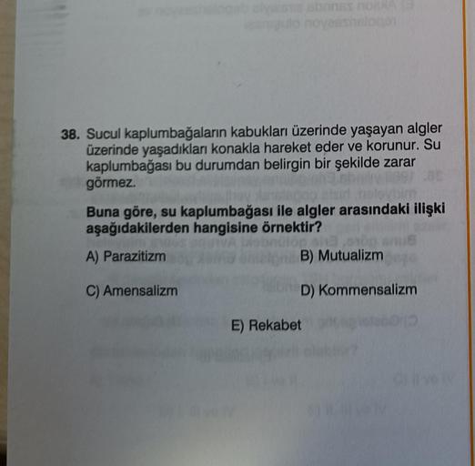 vestia abones noex (5
novesshslogan
38. Sucul kaplumbağaların kabukları üzerinde yaşayan algler
üzerinde yaşadıkları konakla hareket eder ve korunur. Su
kaplumbağası bu durumdan belirgin bir şekilde zarar
görmez.
Buna göre, su kaplumbağası ile algler arası