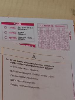 ALAN
SÖZEL
O SAYISAL
O EŞİTAGR.
TÜRK D. VE E-SOS, BIL-1
SOSYAL BILINLER-2
MATEMATIK
FEN BILIMLER
TORK D. VE EDB-SOS, BIL-1
MATEMATIK
ARGIK
T.C. KİMLİK NO/ (TELEFON NO)
A
34. Erkek üreme sisteminde bulunan testislerde
aşağıdakilerden hangisi meydana gelmez?
A) Inhibin hormonu salgılanır.
B) Spermatogoniyum hücreleri mitozla çoğalır.
C) Spermatit hücreleri oluşur.
D) LH hormonu salgılanır.
E) Eşey hormonları salgılanır.
OMR.87/A