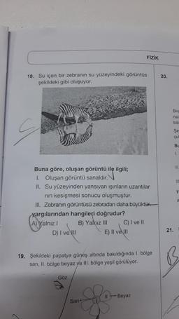 18. Su içen bir zebranın su yüzeyindeki görüntüs
şekildeki gibi oluşuyor.
Buna göre, oluşan görüntü ile ilgili;
1. Oluşan görüntü sanaldır.
II. Su yüzeyinden yansıyan ışınların uzantıları
nın kesişmesi sonucu oluşmuştur.
III. Zebranın görüntüsü zebradan daha büyüktür.
yargılarından hangileri doğrudur?
A) Yalnız I
B) Yalnız III
D) I ve II
Göz
Sarı
FİZİK
C) I ve II
E) Il ve III
19. Şekildeki papatya güneş altında bakıldığında 1. bölge
sarı, II. bölge beyaz ye III. bölge yeşil görülüyor.
11
Beyaz
20.
Birc
nal
bili
Şe
çu
BL
1.
21.
11.
111
y
A