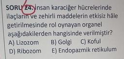 SORU 24. insan karaciğer hücrelerinde
ilaçların ve zehirli maddelerin etkisiz hâle
getirilmesinde rol oynayan organel
aşağıdakilerden
hangisinde verilmiştir?
A) Lizozom
D) Ribozom
B) Golgi C) Koful
E) Endopazmik retikulum