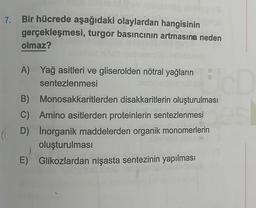 7. Bir hücrede aşağıdaki olaylardan hangisinin
gerçekleşmesi, turgor basıncının artmasına neden
olmaz?
d
A) Yağ asitleri ve gliserolden nötral yağların
sentezlenmesi
UcD
B) Monosakkaritlerden disakkaritlerin oluşturulması
C) Amino asitlerden proteinlerin sentezlenmesi es
D) Inorganik maddelerden organik monomerlerin
oluşturulması
E) Glikozlardan nişasta sentezinin yapılması