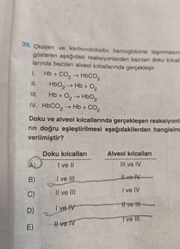 39. Oksijen ve karbondioksitin hemoglobinle taşınmasını
gösteren aşağıdaki reaksiyonlardan bazıları doku kılcal-
larında bazıları alveol kılcallarında gerçekleşir.
1.
11.
III.
Hb + O2 → HbO₂
IV. HbCO, → Hb + CO2
Doku ve alveol kılcallarında gerçekleşen reaksiyonla
rin doğru eşleştirilmesi aşağıdakilerden hangisinc
verilmiştir?
A)
B)
C)
Hb + CO, → HbCO,
HbO₂ → Hb+ +0₂
D)
E)
Doku kılcalları
I ve II
I ve III
Il ve III
Ive V
Hve IV
Alveol kılcalları
III ve IV
II ve IV
I ve IV
It ve t
I ve III