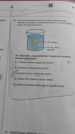 etonun
dan
a
4
16. %4 oranında sükroz içeren bir amip, ozmotik denge
hâlinde bulunduğu bir ortamdan alınıp %1 oranında sükroz
içeren bir kaba bırakılıyor.
%4 sükroz
17. Eşeyli üreyen canlılarda com
%1'lik sükroz
çözeltisi
Bu düzenekte, aşağıdakilerden hang