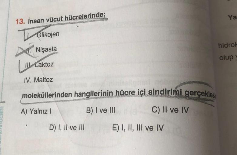 13. İnsan vücut hücrelerinde;
Glikojen
1. Nişasta
III Laktoz
IV. Maltoz
moleküllerinden hangilerinin hücre içi sindirimi gerçekleşi
A) Yalnız I
B) I ve III
C) II ve IV
D) I, II ve III
E) I, II, III ve IV
Ya
hidrok
olup y