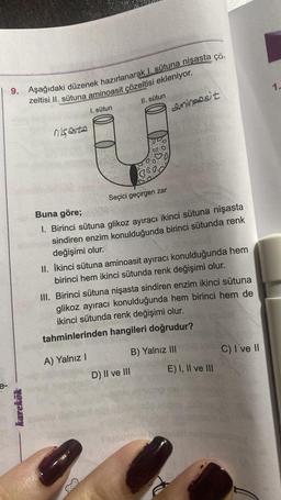 e-
9. Aşağıdaki düzenek hazırlanarak I. sütuna nişasta çö-
zeltisi II. sütuna aminoasit çözeltisi ekleniyor.
karekök
nişasta
sütun
II. sütun
A) Yalnız I
8.80
Seçici geçirgen zar
Buna göre;
1. Birinci sütuna glikoz ayıracı ikinci sütuna nişasta
sindiren enzim konulduğunda birinci sütunda renk
değişimi olur.
amingesit
II. İkinci sütuna aminoasit ayıracı konulduğunda hem
birinci hem ikinci sütunda renk değişimi olur.
D) II ve III
III. Birinci sütuna nişasta sindiren enzim ikinci sütuna
glikoz ayıracı konulduğunda hem birinci hem de
ikinci sütunda renk değişimi olur.
tahminlerinden hangileri doğrudur?
B) Yalnız III
E) I, II ve III
C) I ve II
1.