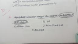 4.
LD Çift katli lipit tabakasından oluşur.
LE Üzerinde por denilen gözenekler vardır.
Aşağıdaki yapılardan hangisi hücre zarında bulunmaz?
A) Fosfat
C) Glikoprotein
B) Lipit
D) Ribonukleik asit
E) Glikolipit