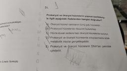 ülleriyle eşleştirildiğin-
açıkta kalır?
P50₂
Zn(NO₂
En Lewis formülü
K
0
21.
Prokaryot ve ökaryot hücrelerin yapısal özellikleriy-
le ilgili aşağıdaki ifadelerden hangisi doğrudur?
Ökaryot hücreli canlıların tümü çok hücrelidir.
B) Prokaryot hücrelerde ribozom bulunmaz.
C) Hücre duvarı sadece bazı ökaryot hücrelerde bulunur.
D) Prokaryot ve ökaryot hücrelerde sitoplazmada ortak
metabolik olaylar gerçekleşebilir.
E) Prokaryot ve ökaryot hücrelerin DNA'ları çekirdek
içindedir.