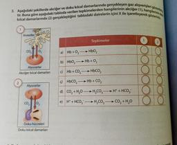 3. Aşağıdaki şekillerde akciğer ve doku kılcal damarlarında gerçekleşen gaz alışverişleri gösterilmi
tir. Buna göre aşağıdaki tabloda verilen tepkimelerden hangilerinin akciğer (1), hangilerinin dok
kılcal damarlarında (2) gerçekleştiğini tablodaki dairelerin içini X ile işaretleyerek gösteriniz
1
2
Alveoller
CO₂
Alyuvarlar
Akciğer kılcal damarları
0₂
Alyuvarlar
CO₂
0₂
Doku hücreleri
Doku kılcal damarları
Tepkimeler
a) Hb+0₂HbO₂
b) HbO₂
-Hb + 0₂
c) Hb+ CO₂-
¢) HbCO,
→
d) CO₂ + H₂OH₂CO3H+ + HCO3
e) H+ + HCO₂H₂CO3
CO₂ + H₂O
- HbCO,
Hb + CO₂
88