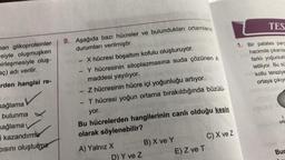 man glikoproteinler
siyle oluşmuşken
pirleşmesiyle oluş-
aç) adı verilir.
rden hangisi re-
sağlama
bulunma
sağlama
i kazandırma
Disini oluşturma
9. Aşağıda bazı hücreler ve bulundukları ortamların
durumları verilmiştir.
1
-
X hücresi boşaltım kofulu oluşturuyor.
- Y hücresinin sitoplazmasına suda çözünen A
maddesi yayılıyor.
Z hücresinin hücre içi yoğunluğu artıyor.
T hücresi yoğun ortama bırakıldığında büzülü-
yor.
Bu hücrelerden hangilerinin canlı olduğu kesin
olarak söylenebilir?
A) Yalnız X
D) Y ve Z
B) X ve Y
E) Z ve T
C) X ve Z
TES
1. Bir patates parc
hacimde çıkarıla
farklı yoğunlukl
letiliyor. Bu sü
kollu teraziye
ortaya çıkıyo
1.
orta
Bur