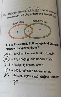 sırasında
11. Aşağıdaki şemada soluk alıp verme
gerçekleşen bazı olaylar harflerle gösterilmiştir.
Soluk alma
X
Y
Soluk verme
Z
X, Y ve Z olayları ile ilgili aşağıdaki eşleştir-
melerden hangisi yanlıştır?
sophia
A) X→ Diyafram kası kasılarak düzleşir.
B) Y→Karın boşluğunun hacmi azalır.
Z→ Akciğer iç basıncı artar.
X→Göğüs kafesinin hacmi artar.
EZ→ Kaburga uçları aşağı doğru hareket
eder.