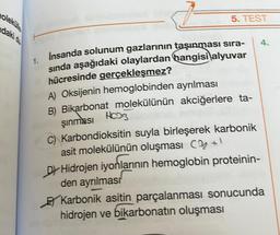 molekülle
daki
5. TEST
1. İnsanda solunum gazlarının taşınması sıra-
sında aşağıdaki olaylardan hangisi alyuvar
hücresinde gerçekleşmez?
A) Oksijenin hemoglobinden
ayrılması
B) Bikarbonat molekülünün akciğerlere ta-
HCO3
şınması HCD
C) Karbondioksitin suyla birleşerek karbonik
asit molekülünün oluşması C +1
4.
DY Hidrojen iyonlarının hemoglobin proteinin-
den ayrılması
Karbonik asitin parçalanması sonucunda
hidrojen ve bikarbonatın oluşması