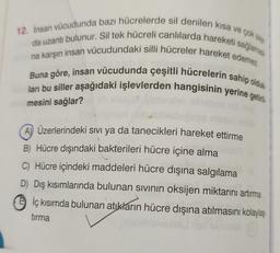 12. İnsan vücudunda bazı hücrelerde sil denilen kısa ve çok say
da uzantı bulunur. Sil tek hücreli canlılarda hareketi sağlamas
na karşın insan vücudundaki silli hücreler hareket edemez.
Buna göre, insan vücudunda çeşitli hücrelerin sahip olduk
ları bu siller aşağıdaki işlevlerden hangisinin yerine getiril
mesini sağlar?
A) Üzerlerindeki sıvı ya da tanecikleri hareket ettirme
B) Hücre dışındaki bakterileri hücre içine alma
C) Hücre içindeki maddeleri hücre dışına salgılama
D) Dış kısımlarında bulunan sıvının oksijen miktarını artırma
İç kısımda bulunan atıkların hücre dışına atılmasını kolaylaş
tırma