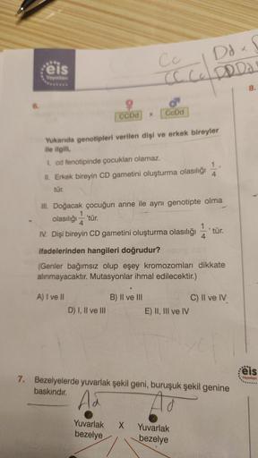 6.
eis
Yayınlan
Yukarıda genotipleri verilen dişi ve erkek bireyler
ile ilgili,
1. cd fenotipinde çocukları olamaz.
II. Erkek bireyin CD gametini oluşturma olasılığı
tür.
Cc
Ddx f
CC Cc DD Da
CCDd X CcDd
III. Doğacak çocuğun anne ile aynı genotipte olma
ol