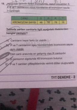 18. Aşağıdaki tabloda diploit kromozomlu, eşeyli üreyebilen S,
PR ve T canlılarının vücut hücrelerine ait kromozom sayıla-
rr verilmiştir.
S P
KROMOZOM SAYISI 48 16 78
CANLI
R T
16
Tabloda verilen canlılarla ilgili aşağıdaki ifadelerden
hangisi yanlıştır?
A) Canlıların hepsi farklı tür olabilir.
B) P ve T canlılarının eşey hücrelerindeki kromozom sayısı
aynı olabilir.
Dört canlı arasında en gelişmiş olan R canlısıdır.
D) S canlısının zigotunda 48 kromozom bulunur.
E) P ve T canlıları çiftleştiklerinde verimli döller oluşturabilir.
TYT DENEME-2
A