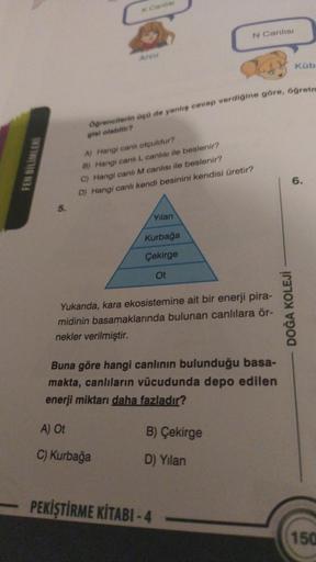 FEN BILIMLERI
5.
Arzu
A) Hangi canlı otçuldur?
B) Hangi canlı L canlısı ile beslenir?
C) Hangi canli M canlısı ile beslenir?
D) Hangi canli kendi besinini kendisi üretir?
Öğrencilerin üçü de yanlış cevap verdiğine göre, öğretme
gisi olabilir?
A) Ot
C) Kurb