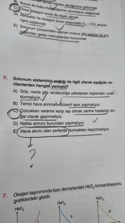 6.
alınan havayı akciğerlere götürmek
Burun ile koku moleküllerinin alınmasını sağlamak
C) Ureyi dolaşım sıvısı ile dışarı atmak
D) Atmosfer ile dolaşım SIVISI arasındaki O₂-CO, alışve-
rişini sağlamak
E) Solunum yüzeyinden salinan mukus gibi salgılar ile dış
ortamdan gelen mikroplardan korunmak
Solunum sisteminin sağlığı ile ilgili olarak aşağıda ve-
rilenlerden hangisi yanlıştır?
A) Grip, nezle gibi rahatsızlığa yakalanan kişilerden uzak
durmalıyız
B) Temiz hava alınmalı, düzenli spor yapmalıyız.
Çocukken vereme karşı aşı olmak yerine hastalığı do-
ğal olarak geçirmeliyiz.
D) Nefes alımını burundan yapmalıyız.
EY Hava akımı olan yerlerde durmaktan kaçınmalıyız.
7. Oksijen taşınımında bazı damarlardaki HbO₂ konsantrasyonu
grafiklerdeki gibidir.
HbO₂
HbO₂
||
HbO₂
|||