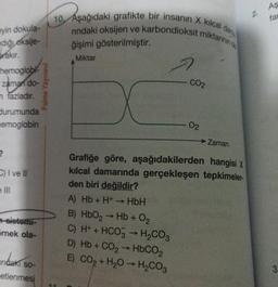 eyin dokula-
diği oksije-
rakır.
hemoglobi
zaman do-
m fazladır.
durumunda
memoglobin
?
C) I ve II
sistemi-
örnek ola-
ndaki SO-
etlenmesi
Palme Yayınevi
10 Aşağıdaki grafikte bir insanın X kılcal dama
rindaki oksijen ve karbondioksit miktarının
ğişimi gösterilmiştir.
Miktar
CO2
X
Grafiğe göre, aşağıdakilerden hangisi x
kılcal damarında gerçekleşen tepkimeler.
den biri değildir?
A) Hb + H+ - HbH
B) HbO₂ → Hb+0₂
C) H+ + HCO3 → H₂CO3
D) Hb + CO2 → HbCO,
E) CO₂ + H₂O → H₂CO3
02
Zaman
2
AS
far
3.