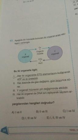 38
D) I, III ve IV
17. Aşağıda bir hücrede bulunan iki organel arası etki-
leşim verilmiştir.
A) I ve II
X
organell
Organik
madde
CO₂
+
H₂O
D) I, III ve IV
Bu iki organelle ilgili;
Her iki organelde ETS elamanlarını kullanarak
ATP ve Isı üretebilir.
II. Her ikisinde de gaz değişimi gün boyunca sü-
rer.
III. Y organeli hücrenin pH değişiminde etkilidir.
IV. Her iki organel de DNA'sını eşleyerek sayısını ar-
tırabilir.
yargılarından hangileri doğrudur?
B) II ve III
Y
organeli
www.sinav.com.tr
E) I, II, III ve IV
III.
IV. H
yar
C) I ve IV
A)
TEMEL YE