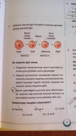 i
2. Döllenme olayı ile zigot hücresinin oluşması aşamaları
şekilde gösterilmiştir.
Oosit
Birinci
kutup
hücresi
MAYOZI
Ootit
Sperm
İkinci
kutup
hücreleri
Döllenme
D) II ve III
MAYOZ II
Bu olaylarla ilgili olarak,
1. Oogenezin tamamlanması sperm çekirdeği yu-
murta içine girdikten sonra gerçekleşir.
II. Haploid kromozomlu hücrelerden diploid kro-
mozomlu hücrenin oluşması yumurta kanalında,
diploit hücreden haploit hücrenin oluşması ise
ovaryum içinde meydana gelir.
Zigot
B) ve II
VII. Sperm çekirdeğinin yumurta içine aktarılmasın-
da spermin baş kısmında bulunan akrozom ve
yumurtada bulunan zona pellusida etkili olur.
ifadelerinden hangileri söylenebilir?
A) Yalnız
E) I, II ve III
rf Yayınları
C) I ve III
4.
5.
Gebe
1. g
11. p
III. a
yapı
A) Y
Birb
blas
hüc
Ma
likt
çel
A)
B)
C)
D
E)