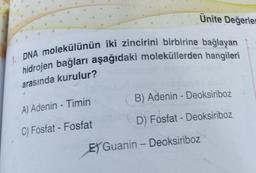 1. DNA molekülünün iki zincirini birbirine bağlayan
hidrojen bağları aşağıdaki moleküllerden hangileri
arasında kurulur?
A) Adenin - Timin
C) Fosfat - Fosfat
Ünite Değerler
B) Adenin - Deoksiriboz
D) Fosfat- Deoksiriboz
E) Guanin - Deoksiriboz