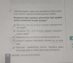 7. İnsanda boşaltım organı olan böbreklerle birlikte boşal-
tima yardımcı organlar da belirli görevleri üstlenir.
Boşaltımla ilgili organların görevleriyle ilgili aşağıda
verilen ifadelerden hangisi yanlıştır?
A) Deri; CO₂, üre, tuz ve suyun vücuttan uzaklaştırılma-
sını sağlar.
B) Akciğerler CO₂, H₂O ve azotlu atıkların uzaklaştırıl-
masını sağlar.
Böbrekler üre, su ve tuzun atılmasında görev alır.
D) Sindirim organları aracılığıyla vücuttan su ve safra
atılır.
E Karaciğer, metabolizma sonucu meydana gelen
amonyağı daha az zehirli olan üreye dönüştürür.
52 ANTIKOR BIYOLOJI SORU BANKASI
la