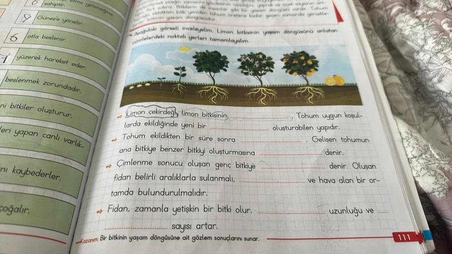 1511
1739
6otla beslenir.
sahiptir
Güneş'e yönelir.
yüzerek hareket eder.
beslenmek zorundadır.
ni bitkiler oluşturur.
yeteneğine
Heri yapan canlı varlık-
ni kaybederler.
coğalır.
00
-0
00
temlersek ciceğin zamanla gövdesinin adigini, yaprak ve deak sayini
