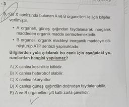 I
Hill
Bir X canlısında bulunan A ve B organelleri ile ilgili bilgiler
verilmiştir.
• A organeli, güneş ışığından faydalanarak inorganik
maddeden organik madde sentezlemektedir.
• B organeli, organik maddeyi inorganik maddeye dö-
nüştürüp ATP sentezi yapmaktadır.
Bilgilerden yola çıkılarak bu canlı için aşağıdaki yo-
rumlardan hangisi yapılamaz?
A) X canlısı kesinlikle bitkidir.
B) X canlisi heterotrof olabilir.
C) X canlısı ökaryottur.
D) X canlısı güneş ışığından doğrudan faydalanabilir.
E) A ve B organelleri çift katlı zarla çevrilidir.