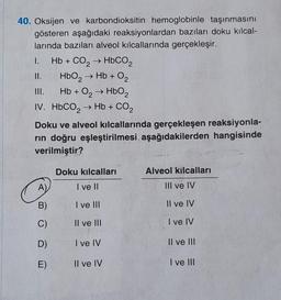 40. Oksijen ve karbondioksitin hemoglobinle taşınmasını
gösteren aşağıdaki reaksiyonlardan bazıları doku kılcal-
larında bazıları alveol kılcallarında gerçekleşir.
I.
Hb + CO, → HbCO,
II.
HbO₂ → → Hb + O₂
III.
Hb + 0₂ → HbO₂
IV. HbCO, → Hb + CO2
Doku ve alveol kılcallarında gerçekleşen reaksiyonla-
rin doğru eşleştirilmesi aşağıdakilerden hangisinde
verilmiştir?
A)
B)
C)
D)
E)
Doku kılcalları
I ve II
I ve III
Il ve III
I ve IV
Il ve IV
Alveol kılcalları
III ve IV
Il ve IV
I ve IV
Il ve III
I ve III