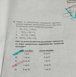 39. Oksijen ve karbondioksitin hemoglobinle taşınmasını
gösteren aşağıdaki reaksiyonlardan bazıları doku kılcal-
larında bazıları alveol kılcallarında gerçekleşir.
1.
II.
III.
Hb + O₂ → HbO₂
IV. HbCO, → Hb + CO2
Doku ve alveol kılcallarında gerçekleşen reaksiyonla-
rin doğru eşleştirilmesi aşağıdakilerden hangisinde
verilmiştir?
A)
B)
D)
Hb + CO2 → HbCO,
HbO2 → Hb + O₂
E)
Doku kılcalları
I ve II
I ve III
Il ve III
I ve IV
Il ve IV
Alveol kılcalları
III ve IV
Il ve IV
I ve IV
II ve III
I ve III
açıklamaları
doğru olur?
A)
B)
E)
a