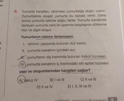 Su-
U-
6. Yumurta kanalları, rahimden yumurtalığa doğru uzanır.
Yumurtalıkta oluşan yumurta bu kanala verilir. Daha
sonra yumurta rahime doğru ilerler. Yumurta kanalında
ilerleyen yumurta canlı bir spermle karşılaşırsa döllenme
olur ve zigot oluşur.
Yumurtanın rahime ilerlemesini,
1. rahimin yapısında bulunan düz kaslar,
II. yumurta kanalının içindeki Sıvı,
Hyumurtanın dış kısmında bulunan folikül hücreleri,
IV. yumurta kanalının iç kısmındaki silli epitel hücreleri
yapı ve oluşumlarından hangileri sağlar?
A) Yalnız IV
B) I ve III
D) II ve IV
C) II ve III
E) I, II, III ve IV
ANTINOR DİYOLOU SORLU BANKASI