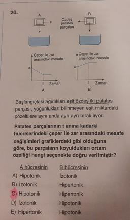 20.
A
X-
AÇeper ile zar
arasındaki mesafe
t
A
Özdeş
patates
parçaları
Zaman
A) Hipotonik
B) İzotonik
C) Hipotonik
D) İzotonik
E) Hipertonik
X
B
Çeper ile zar
arasındaki mesafe
t
B
Başlangıçtaki ağırlıkları eşit özdeş iki patates
parçası, yoğunlukları bilinmeyen eşit miktardaki
çözeltilere aynı anda ayrı ayrı bırakılıyor.
B hücresinin
İzotonik
Hipertonik
Hipertonik
Hipotonik
Hipotonik
Zaman
Patates parçalarının tanına kadarki
hücrelerindeki çeper ile zar arasındaki mesafe
değişimleri grafiklerdeki gibi olduğuna
göre, bu parçaların koyuldukları ortam
özelliği hangi seçenekte doğru verilmiştir?
A hücresinin