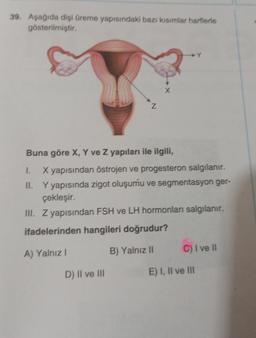 39. Aşağıda dişi üreme yapısındaki bazı kısımlar harflerle
gösterilmiştir.
Z
Buna göre X, Y ve Z yapıları ile ilgili,
I. X yapısından östrojen ve progesteron salgılanır.
II.
Y yapısında zigot oluşumu ve segmentasyon ger-
çekleşir.
III. Z yapısından FSH ve LH hormonları salgılanır.
ifadelerinden hangileri doğrudur?
A) Yalnız I
B) Yalnız II
D) II ve III
C) I ve II
E) I, II ve III