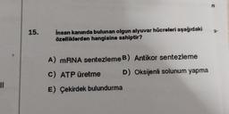 11
15.
insan kanında bulunan olgun alyuvar hücreleri aşağıdaki
özelliklerden hangisine sahiptir?
A) mRNA sentezleme B) Antikor sentezleme
C) ATP üretme
D) Oksijenli solunum yapma
E) Çekirdek bulundurma
n
3-