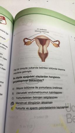 BY
ort
anlarla ilgili
meyle
n uterusa
urtanın
byu
cin uygun
ntıyı
n dışarı
Onun
Eir.
dan
Ur nedeniyle
tıkanmış durumda
Dişi bir bireyde yukarıda belirtilen bölümde tıkanma
meydana gelmiştir.
Bu dişide aşağıdaki olaylardan hangisinin
gerçekleşmesi beklenmez? y seine
A) Mayoz bölünme ile yumurtanın üretilmesi
B) Uterustaki endometriyumun kalınlaşması
C) Yumurtalıktan östrojen salgılanması
Menstrual döngünün aksaması
E) Yumurta ve sperm çekirdeklerinin kaynaşması
Il ev 11 (3
11
masc
Be