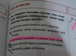 ve T
BİLİMLERİ
FEN
Bir molekülün hücreden, hücreler arası sıvıya
basit difüzyonla atılamamasının sebebi aşağı-
dakilerden hangisi olabilir?
AL Hücrede yeterli enerjinin (ATP) olmaması
3) Molekülün hücre içerisindeki derişiminin fazla
olması
C) Molekülün kompleks ve polimer yapılı olması
Hücre zarında taşıyıcı proteinlerin olmaması
Molekülün yağda çözünmesi
20. F
A