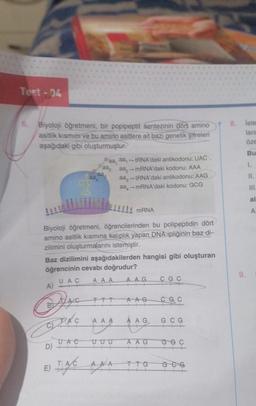 Test-04
6.
Biyoloji öğretmeni, bir popipeptit sentezinin dört amino
asitlik kısmını ve bu amino asitlere ait bazi genetik şifreleri
aşağıdaki gibi oluşturmuştur.
A)
aa
Biyoloji öğretmeni, öğrencilerinden bu polipeptidin dört
amino asitlik kısmına kalıplık yapan DNA ipliğinin baz di-
zilimini oluşturmalarını istemiştir.
GRAC
aa, aa,- tRNA'daki antikodonu: UAC
aa, aa,-mRNA'daki kodonu: AAA
aa
aa-tRNA'daki antikodonu: AAG
aa-mRNA'daki kodonu: GCG
Baz dizilimini aşağıdakilerden hangisi gibi oluşturan
öğrencinin cevabı doğrudur?
AAA
UAC
UAC
mRNA
AAA
AAG
C G C
AAG
CG C
AG GCG
GG C
E)
GGG
TIME ANA TTO 066
8.
iste
lara
öze
Bu
1.
9.
11.
III.
al
A