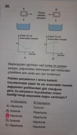 20.
X-
A
Çeper ile zar
arasındaki mesafe
A) Hipotonik
B) İzotonik
C) Hipotonik
D) İzotonik
E)
t
A
Özdeş
patates
parçaları
Zaman
Hipertonik
X
B
Başlangıçtaki ağırlıkları eşit özdeş iki patates
parçası, yoğunlukları bilinmeyen eşit miktardaki
çözeltilere aynı anda ayrı ayrı bırakılıyor.
Çeper ile zar
arasındaki mesafe
Patates parçalarının tanına kadarki
hücrelerindeki çeper ile zar arasındaki mesafe
değişimleri grafiklerdeki gibi olduğuna
göre, bu parçaların koyuldukları ortam
özelliği hangi seçenekte doğru verilmiştir?
A hücresinin
B hücresinin
İzotonik
Hipertonik
Hipertonik
Hipotonik
Hipotonik
t Zaman
B