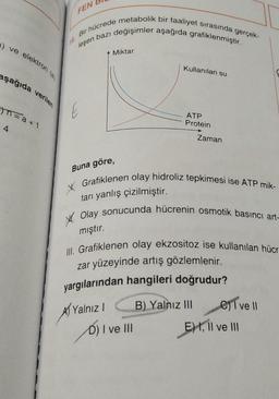 ) ve elektron
aşağıda verilen
n=a+1
4
FEN
Bir hücrede metabolik bir faaliyet sırasında gerçek-
leşen bazı değişimler aşağıda grafiklenmiştir.
16.
E
Miktar
Kullanılan su
Yalnız I
ATP
Protein
Buna göre,
Grafiklenen olay hidroliz tepkimesi ise ATP mik-
tarı yanlış çizilmiştir.
Olay sonucunda hücrenin osmotik basıncı art-
mıştır.
D) I ve III
Zaman
III. Grafiklenen olay ekzositoz ise kullanılan hücr-
zar yüzeyinde artış gözlemlenir.
yargılarından hangileri doğrudur?
B) Yalnız III
eve Il
EH, Il ve III