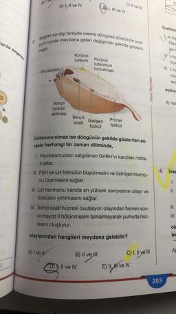 arda oogenez
C
2.
D) I, II ve IV
Ovulasyon
Sağlıklı bir dişi bireyde üreme döngüsü sürecinde ovar-
yum içinde meydana gelen değişimler şekilde gösteril-
miştir.
A) I ve
İkincil
oositin
atılması
Korpus
luteum
İkincil
oosit
, III ve IV
Korpus
luteumun
bozulması
Gelişen
folikül
Il ve IV
B) II ve II
C) II ve IV
Primer
folikül
Döllenme olmaz ise döngünün şekilde gösterilen sü-
recin herhangi bir zaman diliminde,
1. Hipotalamustan salgılanan GnRH'ın kandaki mikta-
ri artar.
II. FSH ve LH folikülün büyümesini ve östrojen hormo-
nu üretmesini sağlar.
III. LH hormonu kanda en yüksek seviyesine ulaşır ve
folikülün yırtılmasını sağlar.
IV. İkincil oosit hücresi ovulasyon olayından hemen son-
ra mayoz II bölünmesini tamamlayarak yumurta hüc-
resini oluşturur.
olaylarından hangileri meydana gelebilir?
Yanıt Yayınları
C) I, II ve III
E) II, HI ve IV
Grafiktel
W
203
K hip
FSH
jen h
Lha
mur
III. Lho
mor
terc
açıklan
A) Yal
4. İnsa
II.
III.
IV.
ola
bir
A)