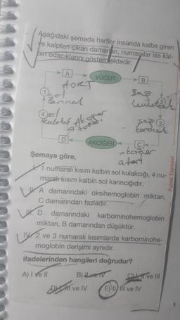 Lu
Aşağıdaki şemada harfler insanda kalbe giren
ye kalpten çıkan damarları, numaralar ise kal-
bin odacıklarını göstermektedir.
VÜCUT
A
HORT
Perinat
Deborat
Akc
DA
AKCİĞER
Bag
tenteraak
B
3.
Cortneut
Şemaya göre,
numaralı kısım kalbin sol kulakcığı, 4 nu-
maralı kısım kalbin sol karıncığıdır.
akciğer
ater
A damarındaki oksihemoglobin miktarı,
C damarından fazladır.
B) ve TV
DMI ve IV
damarındaki karbominohemoglobin
miktarı, B damarından düşüktür.
2 ve 3 numaralı kısımlarda karbominohe-
moglobin derişimi aynıdır.
ifadelerinden hangileri doğrudur?
A) I ve Il
CLI ve III
E) IIlI ve IV
Palme Yayınevi