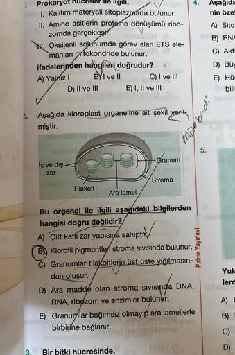 Prokaryot
lle ilgili,
I. Kalıtım materyali sitoplazmada bulunur.
II. Amino asitlerin proteine dönüşümü ribo-
zomda gerçekleşir.
bnoxolM (A
H. Oksijenli solunumda görev alan ETS ele-
manları mitokondride bulunur.
ifadelerinden hangileri doğrudur?
A) Yalnız