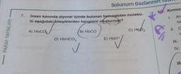 PARAF YAYINLARI
7. insan kanında alyuvar içinde bulunan hemoglobin molekü-
lü aşağıdaki bileşiklerden hangisini oluşturmaz?
A) HbCO,
D) HbHCO3
Solunum Gazları
B) HbCO
OH-/
E) HbH+
C) HbD₂
to.
10. Kırmızı
1.
II.
Alv
ta
III.
C
t
IV.
ifa